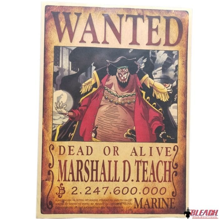 Affiche Wanted One Piece Personnalisée Affiche Wanted One Piece Personnalisée
